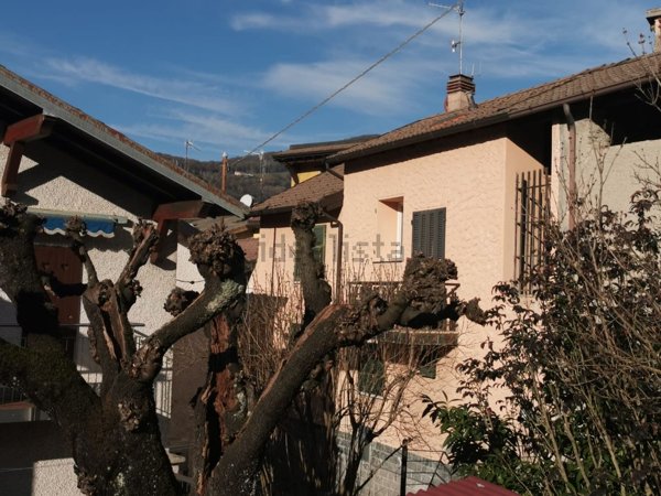 esavano in vendita a Laino