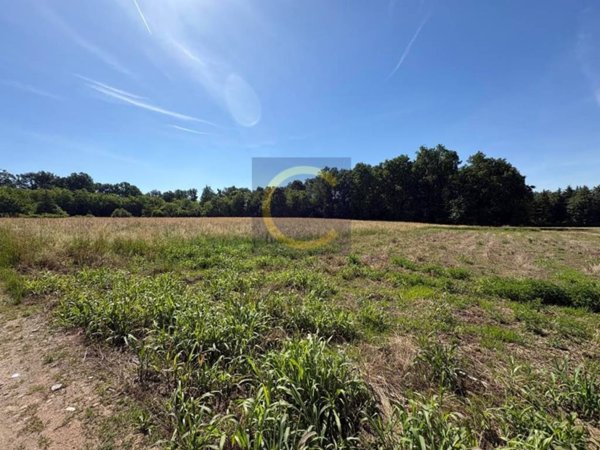 terreno agricolo in vendita a Limido Comasco