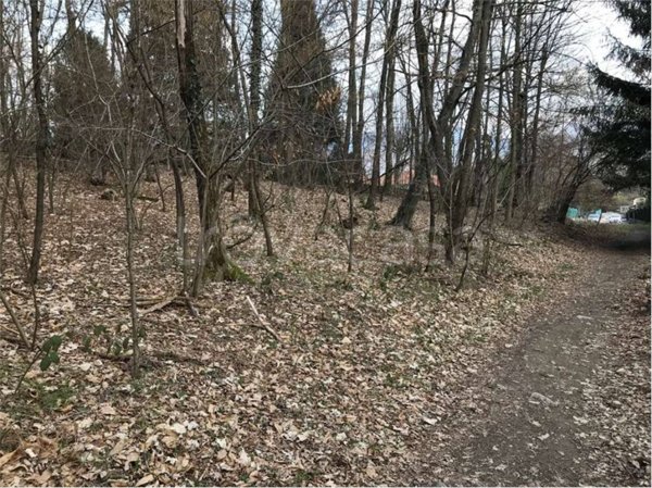 terreno agricolo in vendita a Lipomo