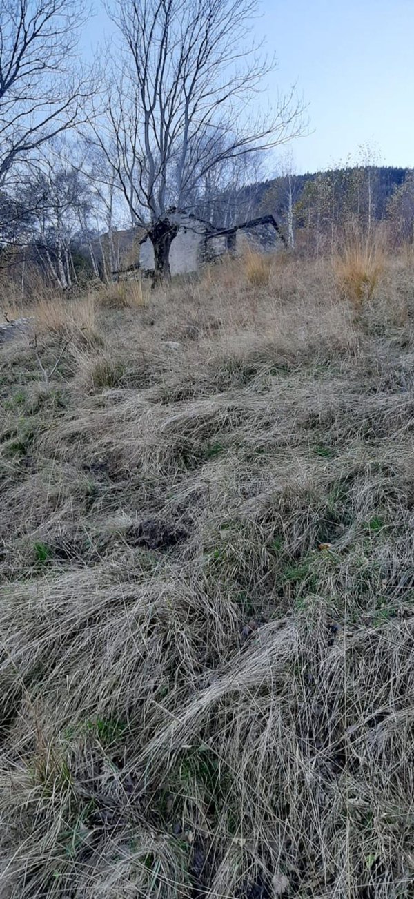 appartamento in vendita a Livo(CO)