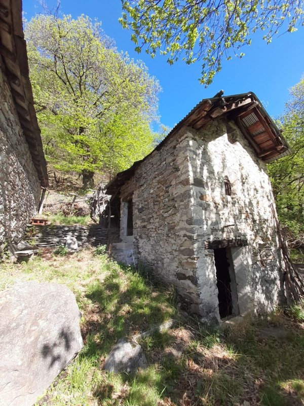 quadrivano in vendita a Livo(CO)