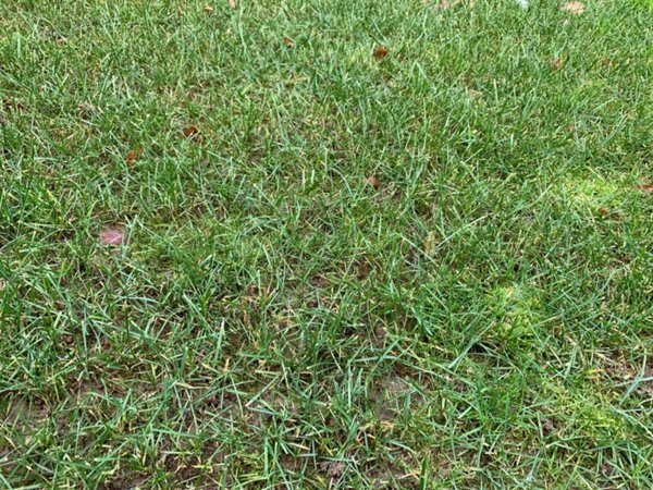 terreno agricolo in vendita a Locate Varesino