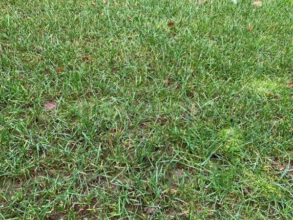 terreno in vendita a Locate Varesino