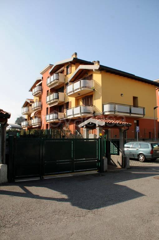 immagine annuncio 0 di 12