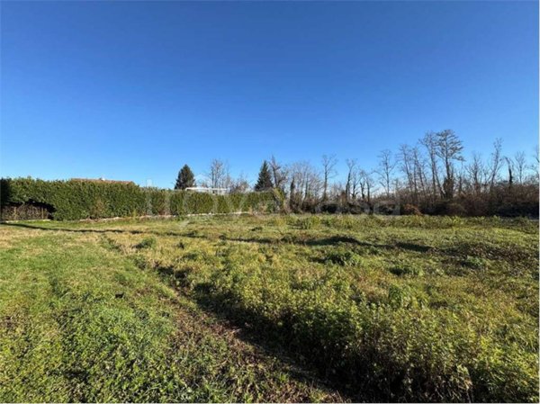 immagine annuncio 0 di 7