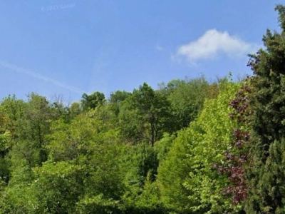 terreno agricolo in vendita a Longone al Segrino