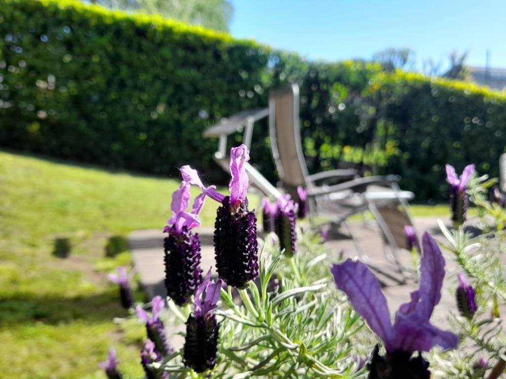 appartamento in vendita a Lurago d'Erba