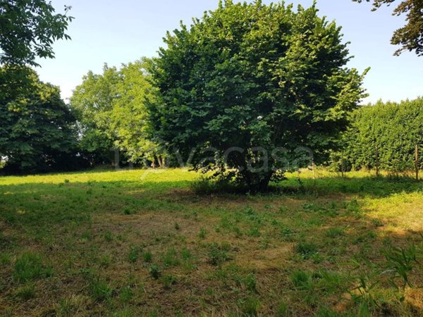 terreno agricolo in vendita a Lurago Marinone