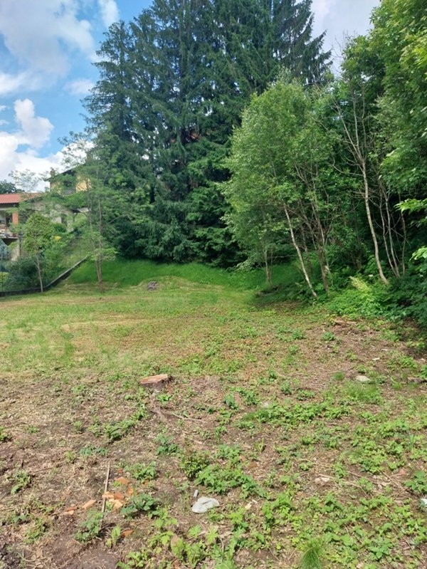 terreno edificabile in vendita a Magreglio