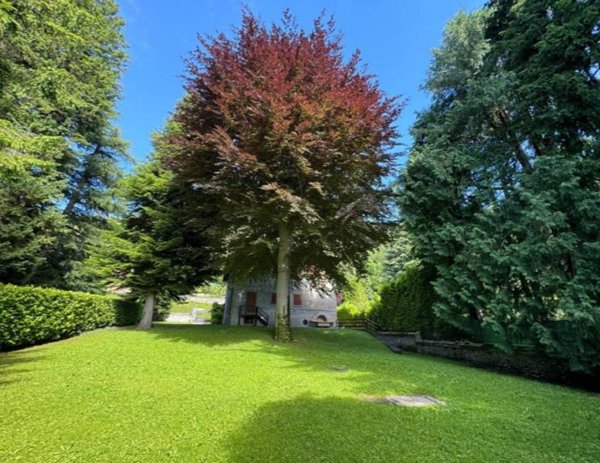 appartamento in vendita a Magreglio