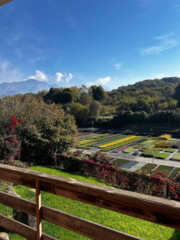 casa indipendente in vendita a Magreglio