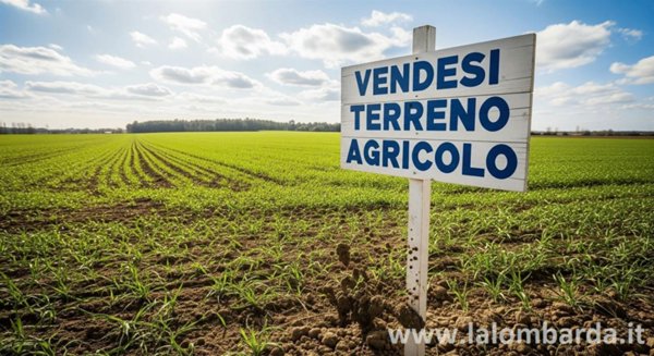 appartamento in vendita a Mariano Comense