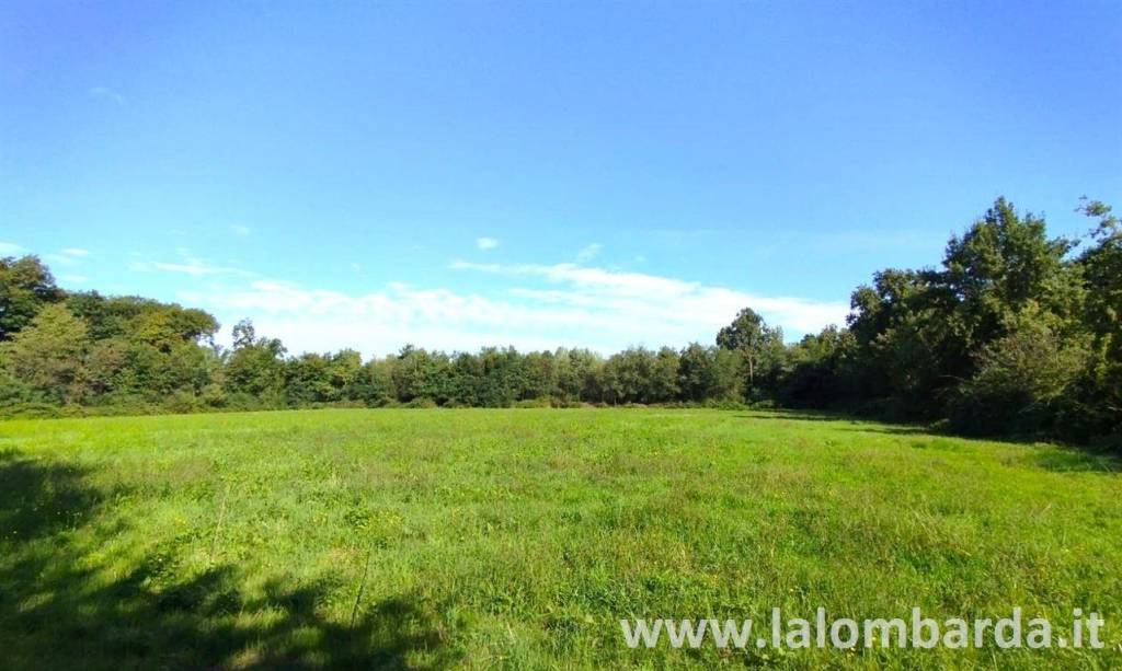 terreno agricolo in vendita a Mariano Comense