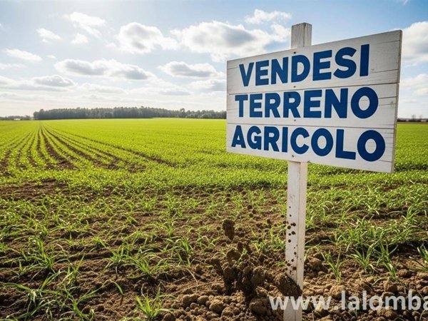 terreno agricolo in vendita a Mariano Comense