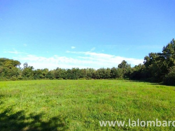 terreno agricolo in vendita a Mariano Comense