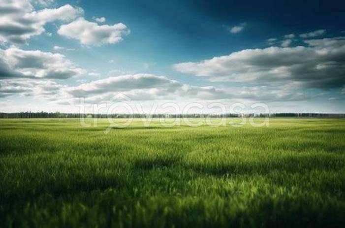 terreno agricolo in vendita a Mariano Comense