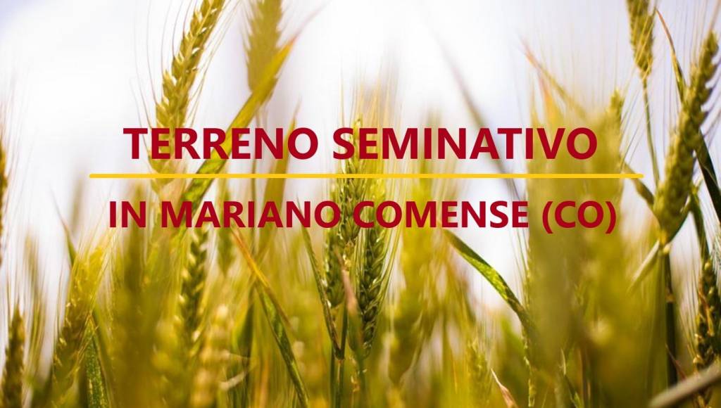 terreno edificabile in vendita a Mariano Comense