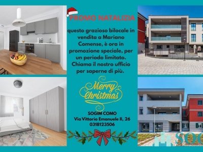 appartamento in vendita a Mariano Comense