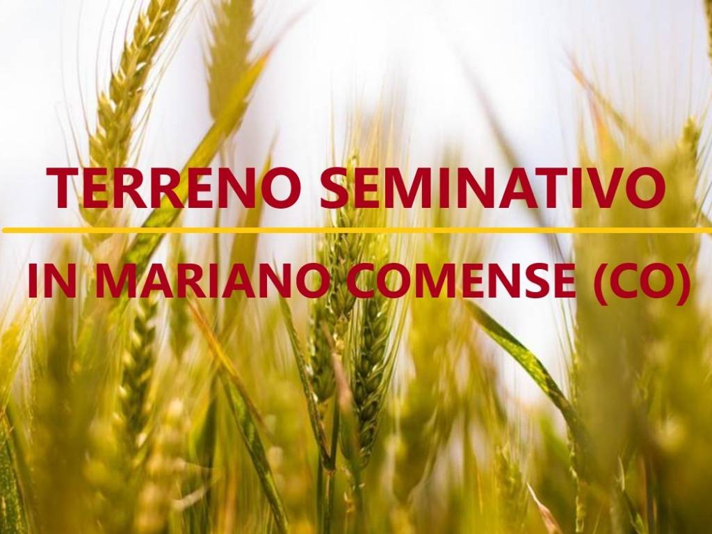 terreno in vendita a Mariano Comense