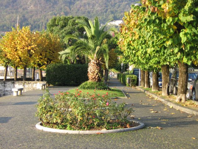 terreno agricolo in vendita a Menaggio