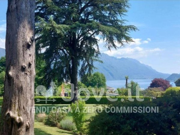 immagine annuncio 0 di 15
