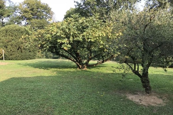 casa semindipendente in vendita a Merone