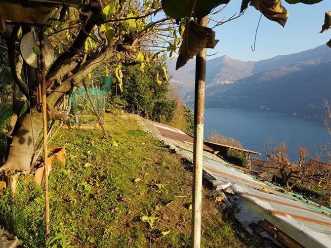 terreno agricolo in vendita a Moltrasio