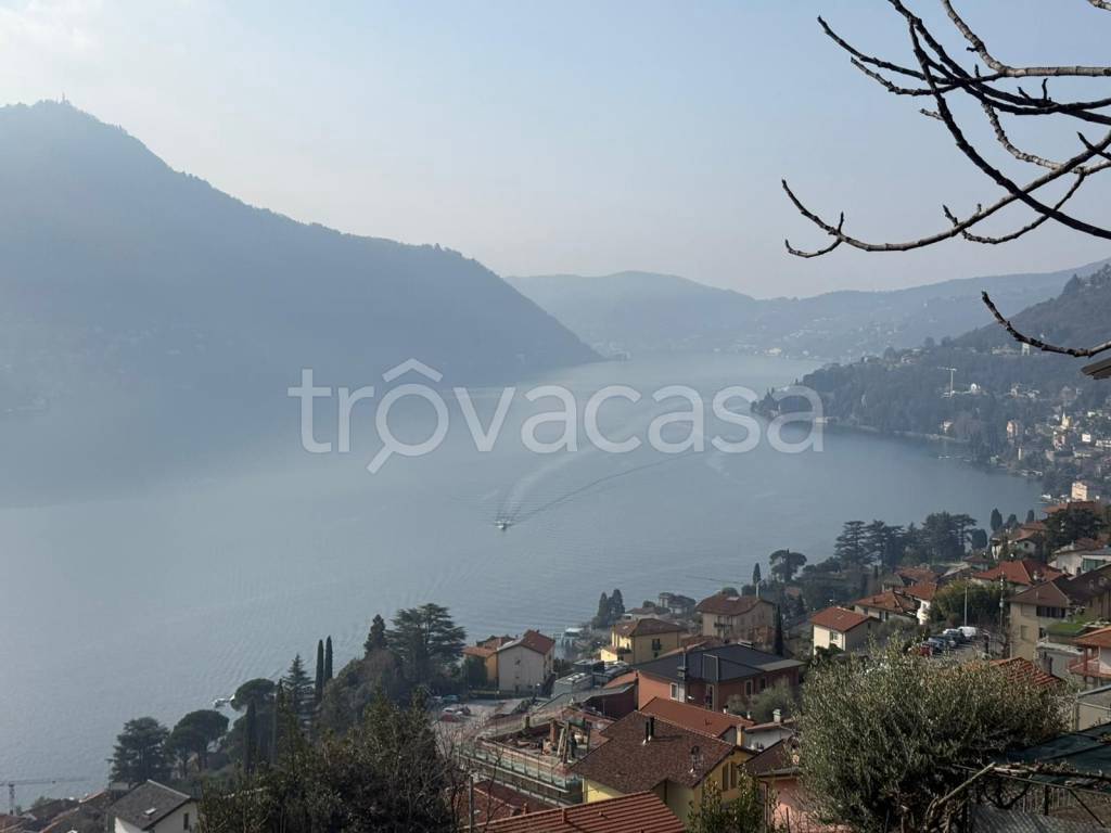 terreno agricolo in vendita a Moltrasio
