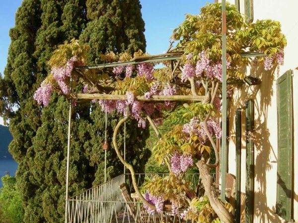 casa indipendente in vendita a Moltrasio in zona Casarico