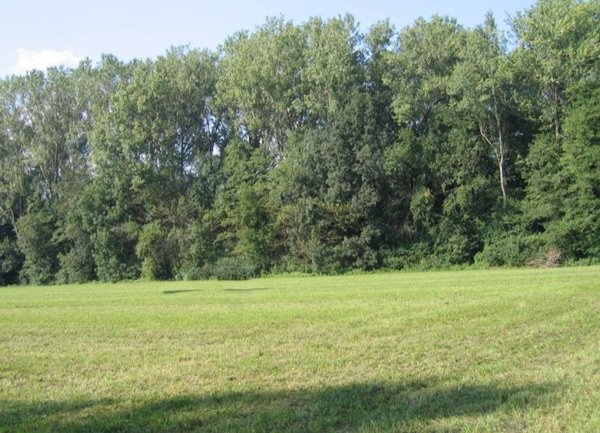 terreno agricolo in vendita a Monguzzo