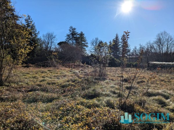 terreno edificabile in vendita a Monguzzo