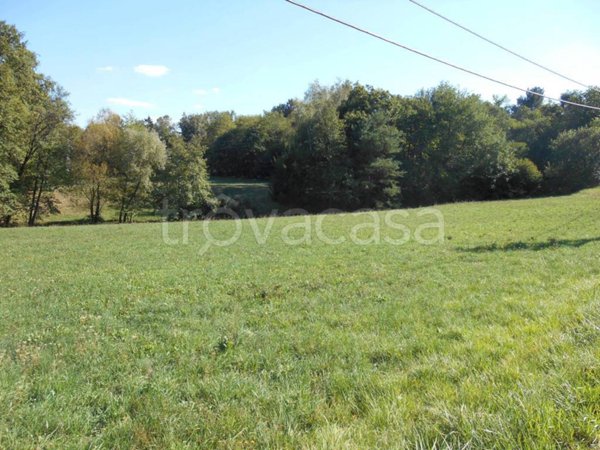 terreno agricolo in vendita a Montano Lucino