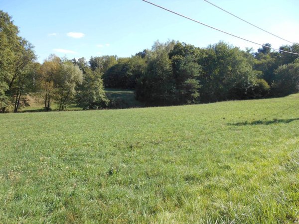terreno agricolo in vendita a Montano Lucino