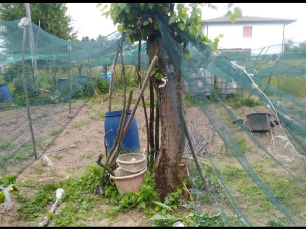 terreno agricolo in vendita a Montano Lucino
