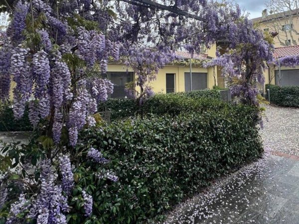 casa indipendente in vendita a Montano Lucino