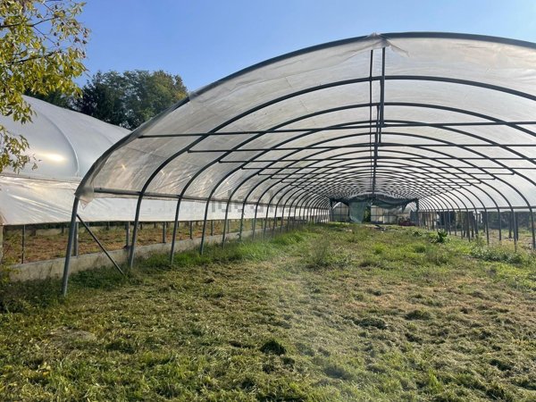 terreno agricolo in vendita a Montano Lucino