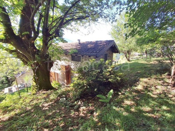 appartamento in vendita a Montemezzo