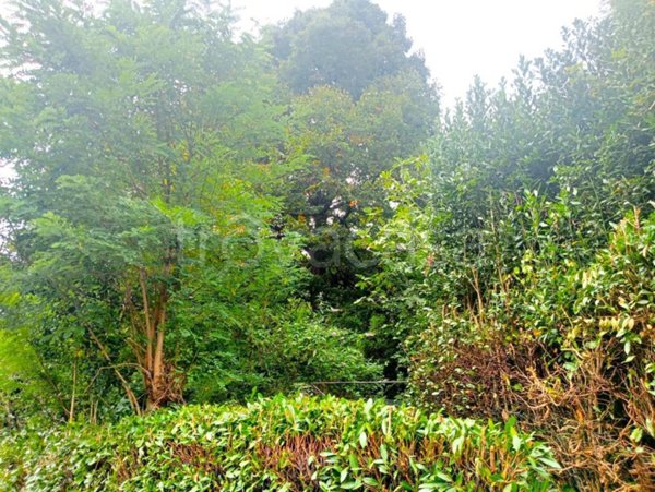 terreno agricolo in vendita a Montorfano