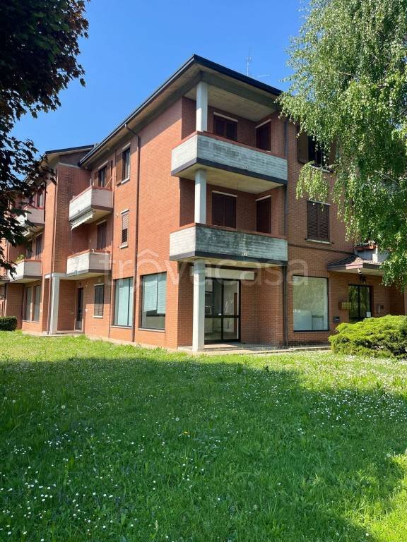 immagine annuncio 0 di 15