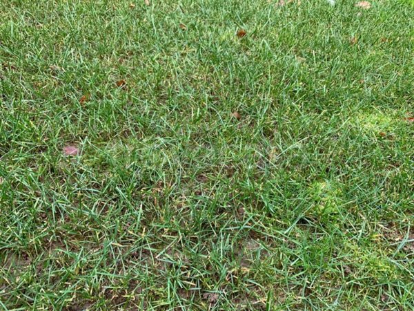 terreno agricolo in vendita a Mozzate