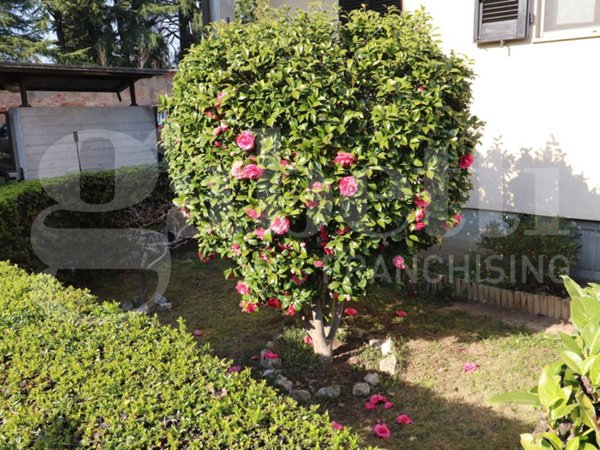 casa indipendente in vendita a Mozzate in zona San Martino