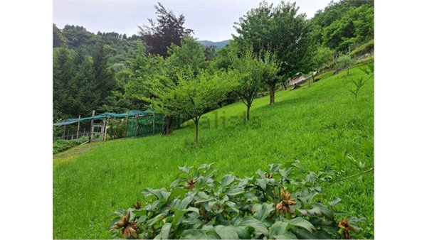 villa in vendita a Musso