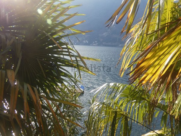 appartamento in vendita a Nesso