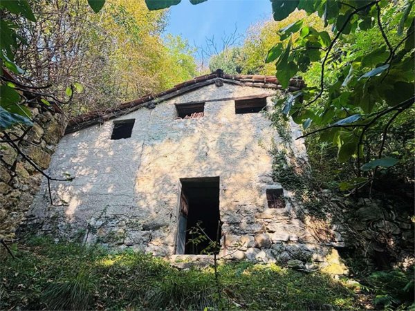 pentavano in vendita a Nesso