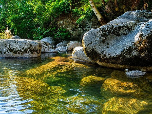 esavano in vendita a Nesso