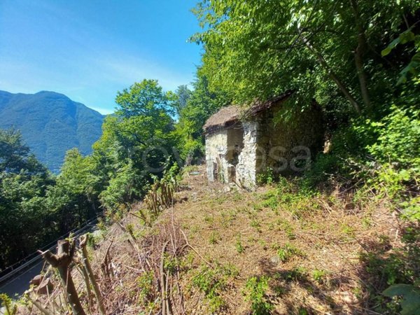 casa indipendente in vendita a Nesso