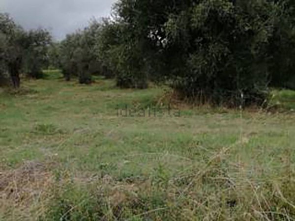 villa in vendita a Novedrate