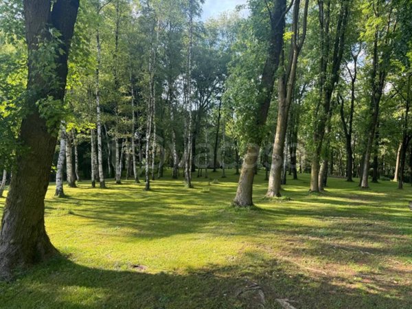 terreno agricolo in vendita ad Olgiate Comasco