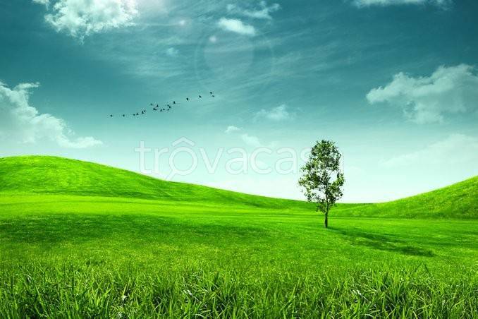 terreno agricolo in vendita ad Olgiate Comasco