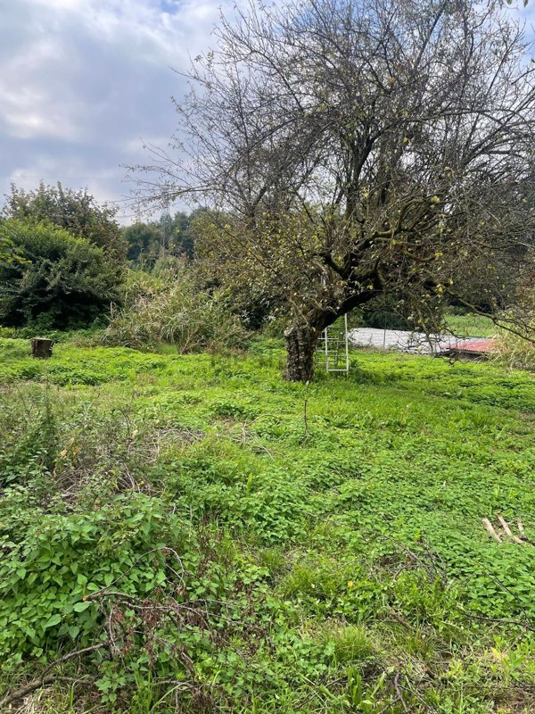 appartamento in vendita ad Olgiate Comasco